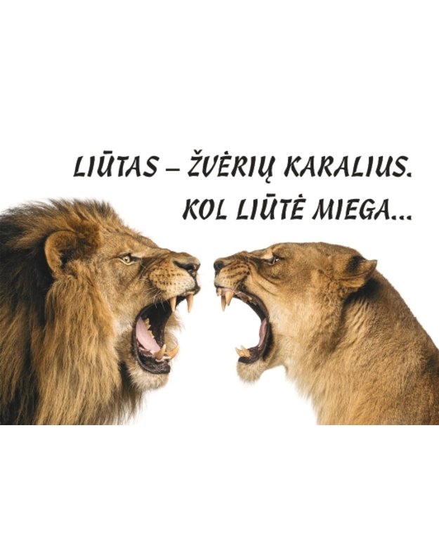 Magnetukas su užrašu (Liūtas)