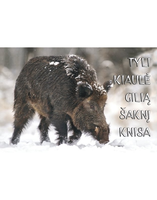 Magnetukas su užrašu (Tyli kiaulė)