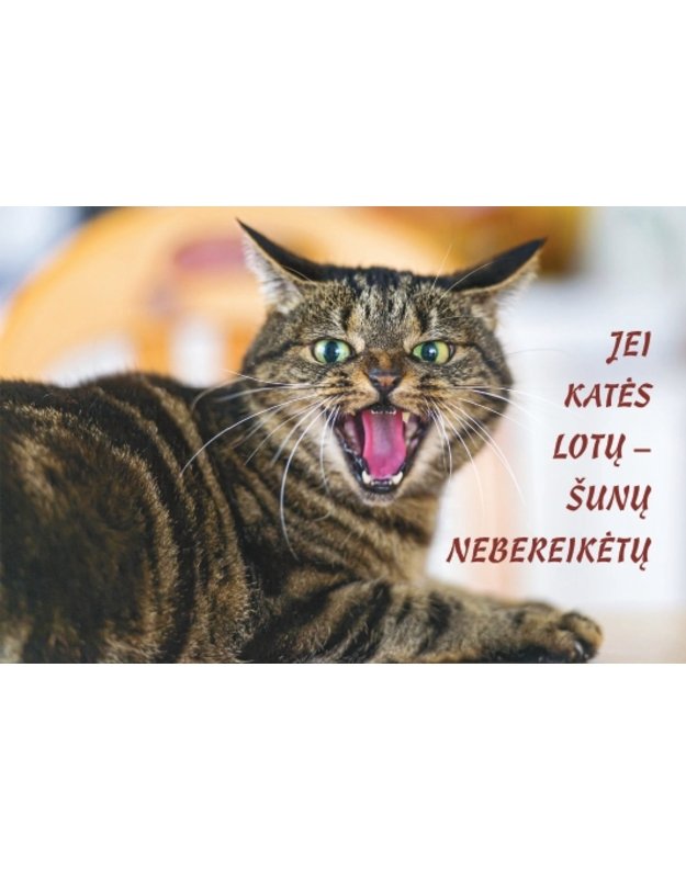 Magnetukas su užrašu (Katė)