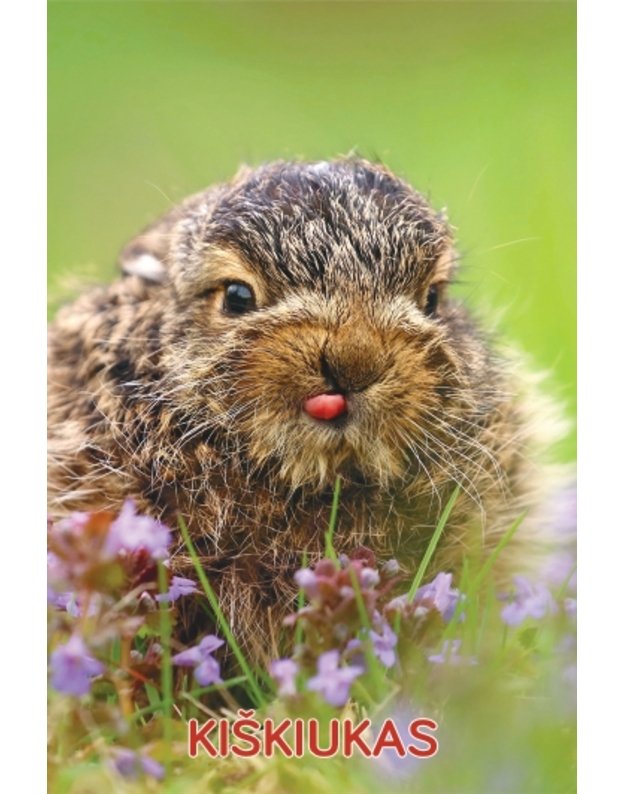 Magnetukas „Lietuvos žvėrys (Kiškiukas)“