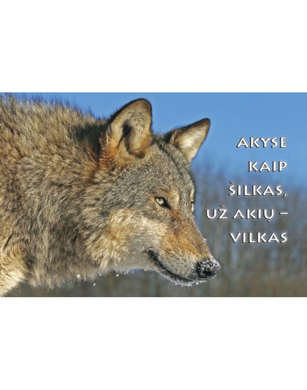 Magnetukas su užrašu (Vilkas)