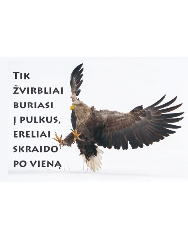 Magnetukas su užrašu (Erelis)