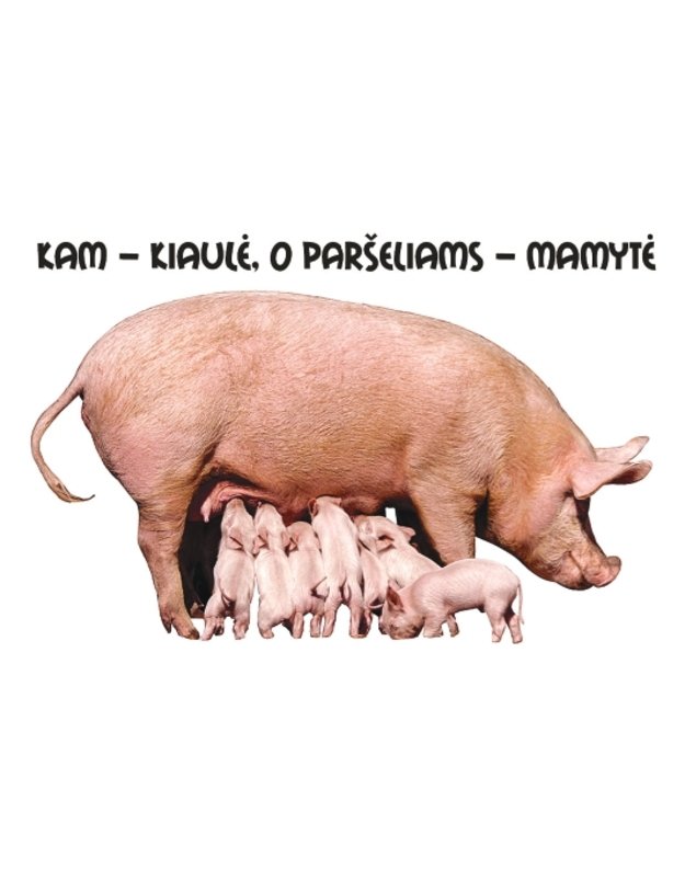 Magnetukas su užrašu (Kiaulė)