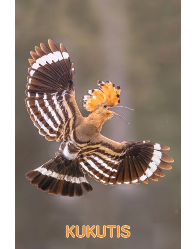 Magnetukas „Lietuvos paukščiai (Kukutis)“