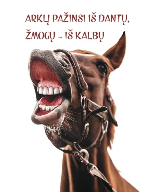 Magnetukas su užrašu (Arklys)