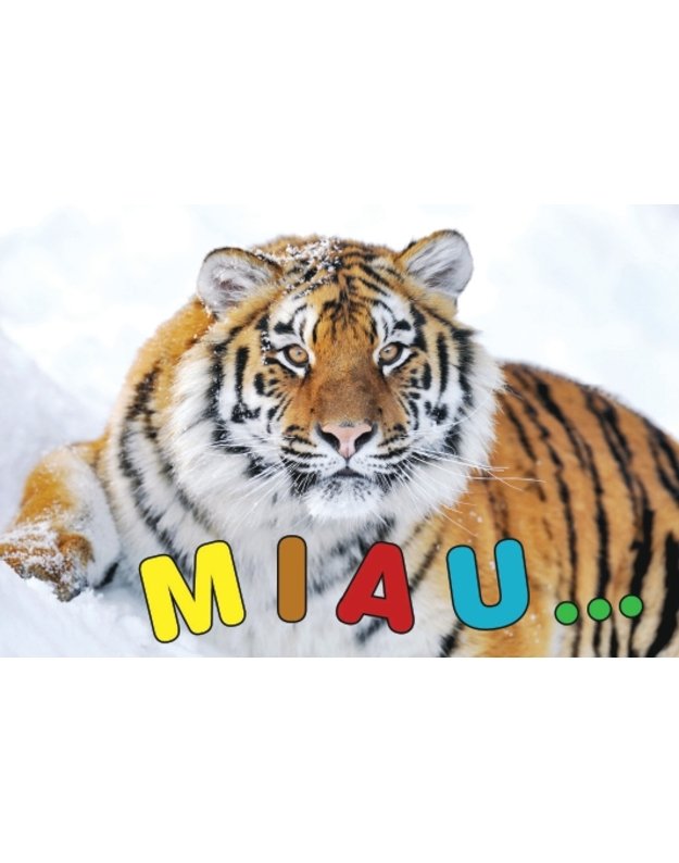 Magnetukas su užrašu (Miau)