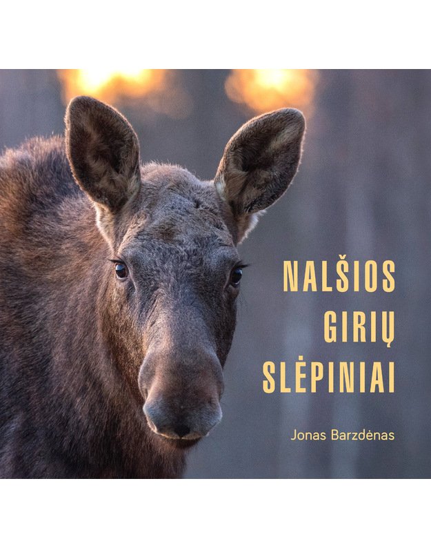 NALŠIOS GIRIŲ SLĖPINIAI. Jonas Barzdėnas