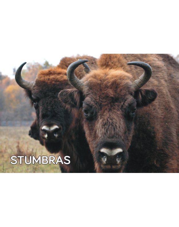 Magnetukas „Lietuvos žvėrys (Stumbras)“