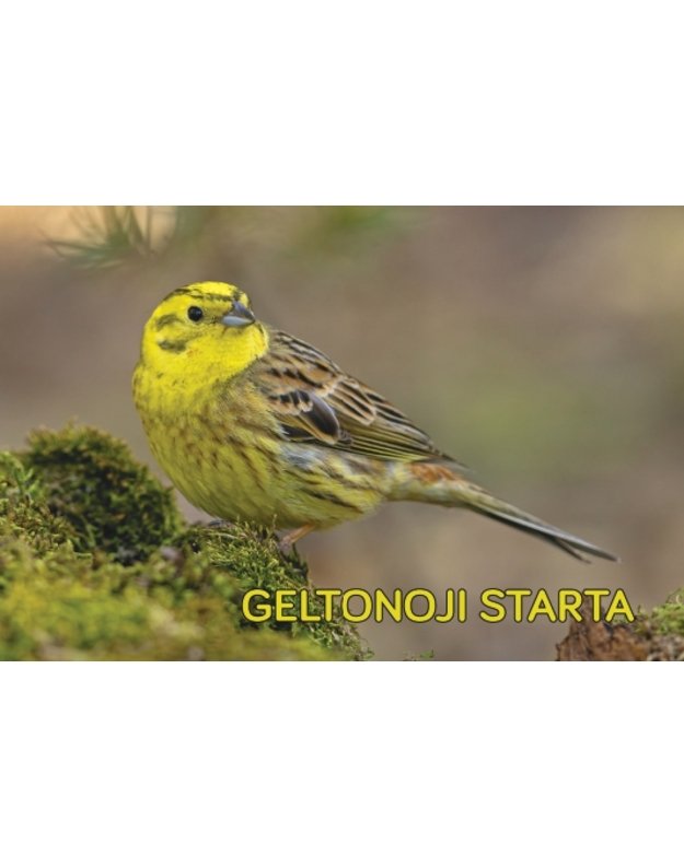 Magnetukas „Lietuvos paukščiai (Starta)“