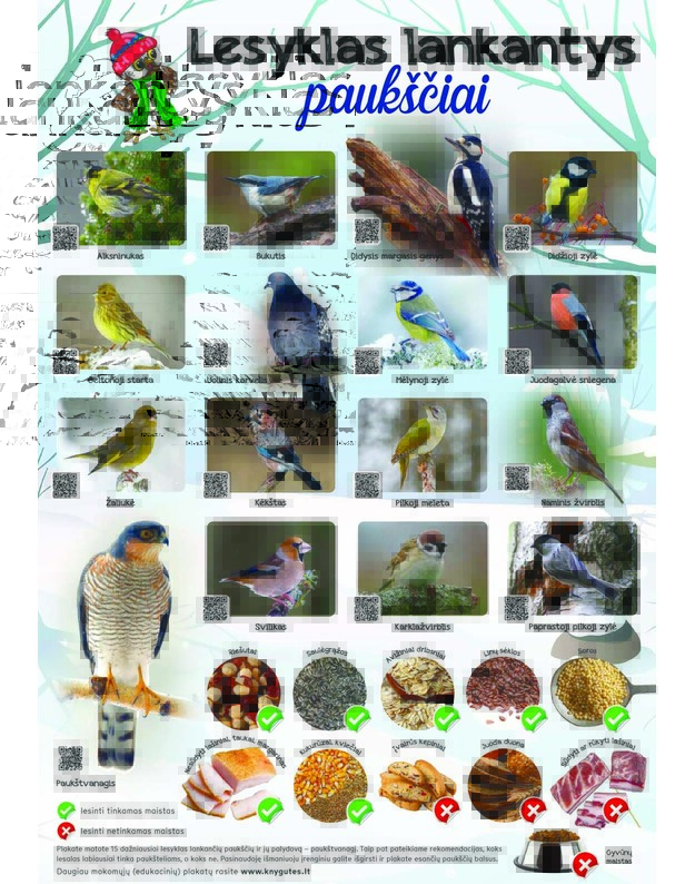 Interaktyvus edukacinis plakatas „Lesyklas lankantys paukščiai“. Papildytas paukščių balsais