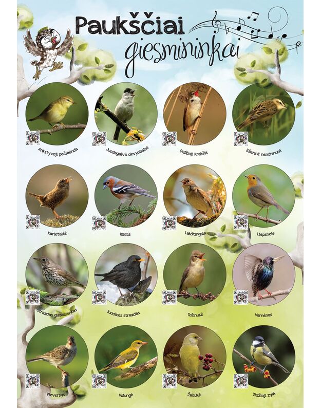Interaktyvus edukacinis plakatas „Paukščiai giesmininkai“. Papildytas paukščių balsais