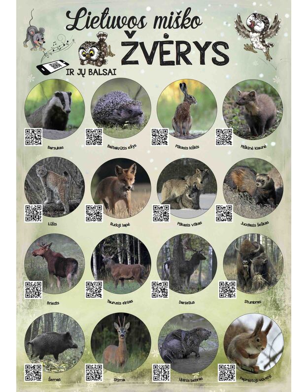 Interaktyvus edukacinis plakatas „Lietuvos miško žvėrys“, papildytas QR kodais su gyvūnų balsais