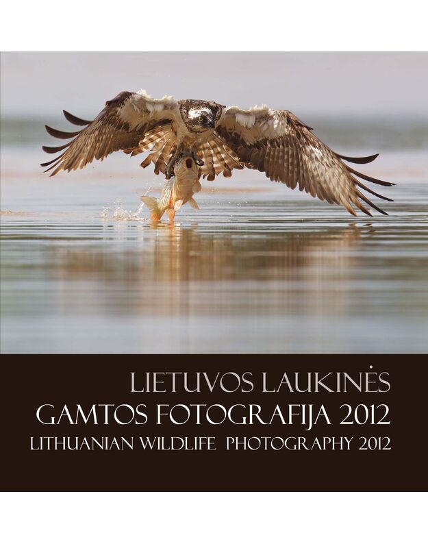 LIETUVOS LAUKINĖS GAMTOS FOTOGRAFIJA 2012