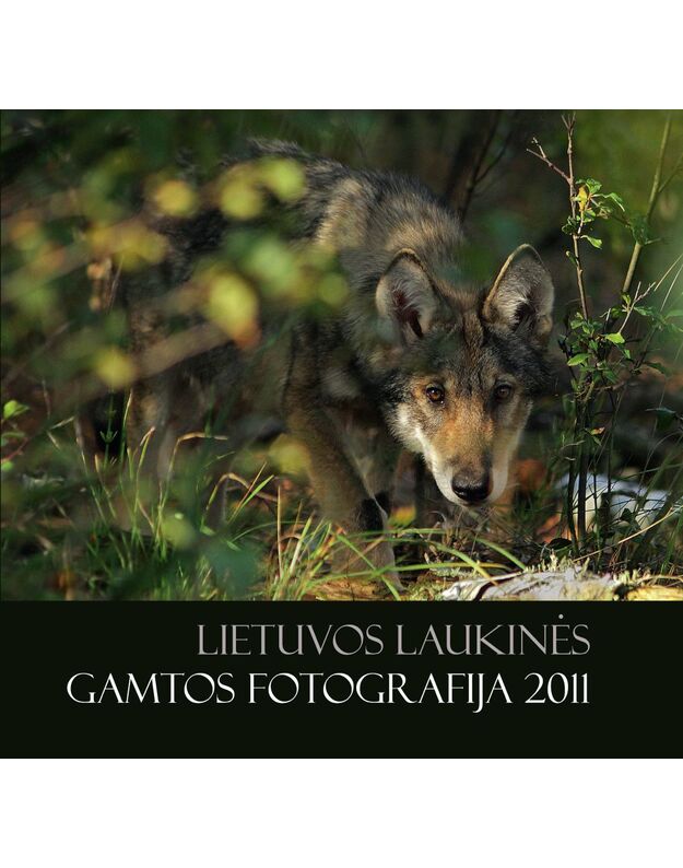 LIETUVOS LAUKINĖS GAMTOS FOTOGRAFIJA 2011