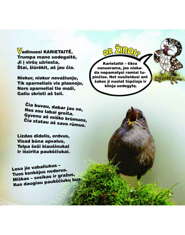 Knyga su defektu. Marija Vesėliūnienė - AR ŽINAI, KAS TIE SKRAIDANTYS DRAUGAI? Papildyta paukščių balsais